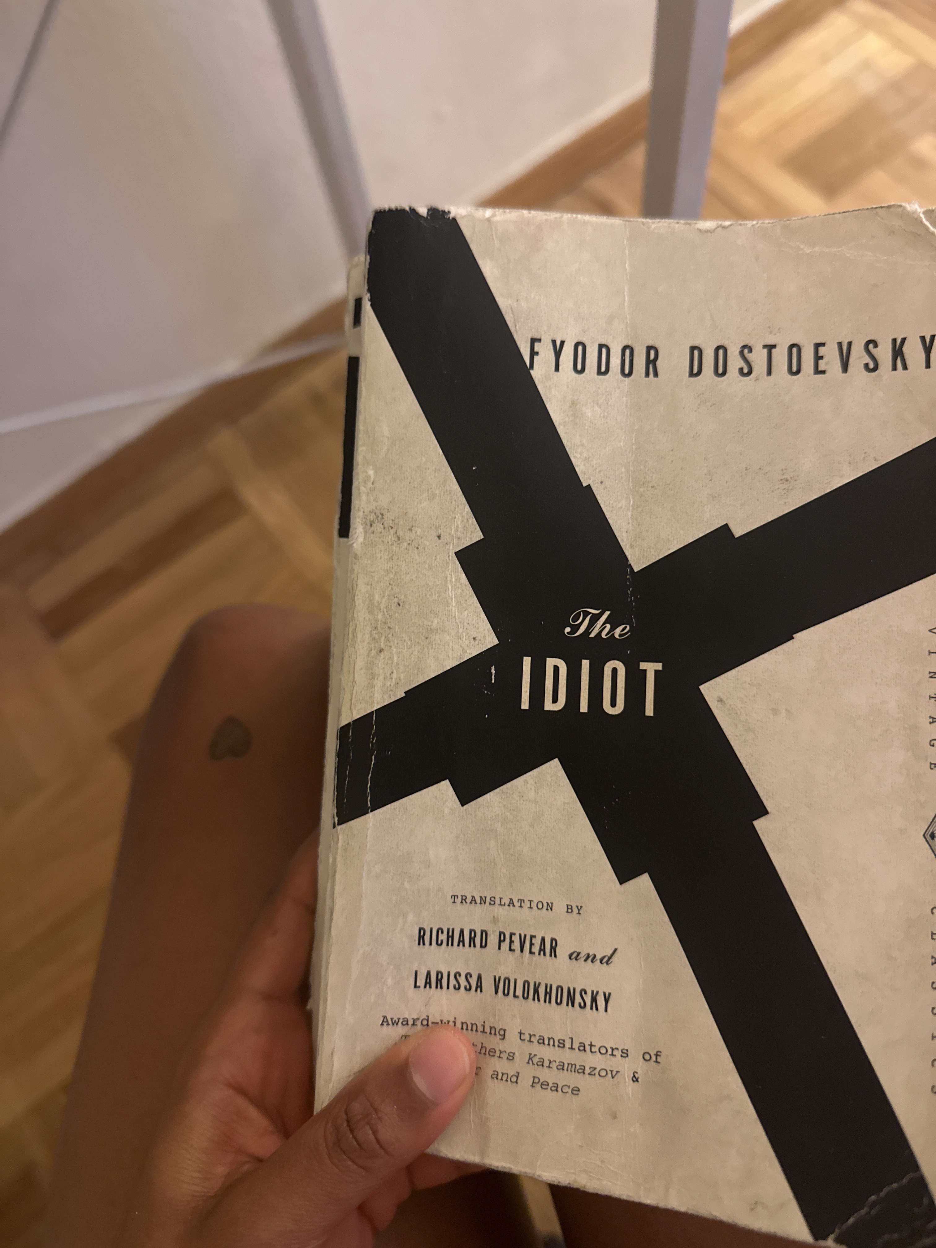 Finished The Idiot: A Reading Guide